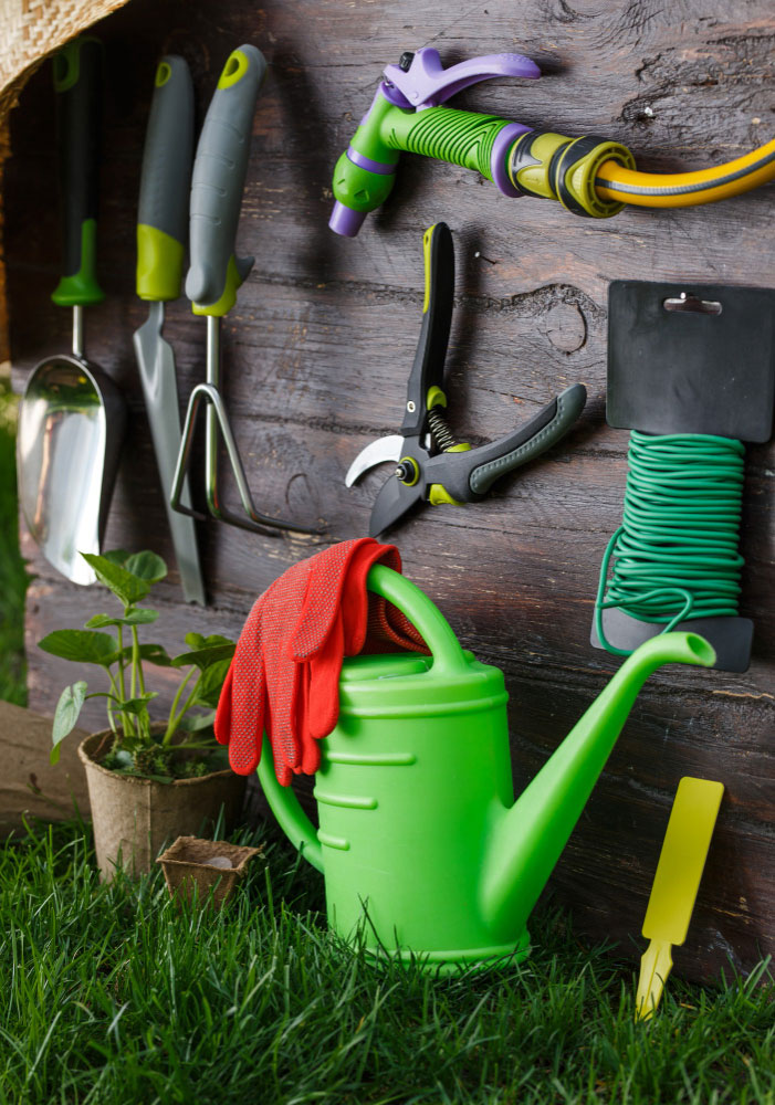 Realgarden: vivaio piante Sassari  Piante Tropicali Aromatiche- Acquatiche – Mediterrane – Alberi da frutto e ormamentali concimi e attrezzature agricole, prodotti per la cura delle piante fioriere, fontane, arredi giardino, gazebo.