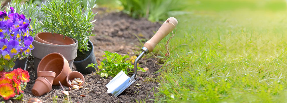 Realgarden: vivaio piante Sassari  Piante Tropicali Aromatiche- Acquatiche – Mediterrane – Alberi da frutto e ormamentali concimi e attrezzature agricole, prodotti per la cura delle piante fioriere, fontane, arredi giardino, gazebo.