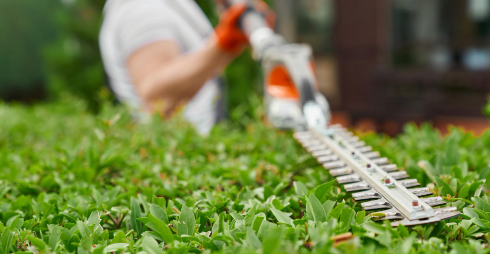 Attrezzi da giardinaggio: tagliasiepi - rasaerba - decespugliatori - motocoltivatori - fioriere, fontane, arredi giardino, gazebo. Realgarden Sassari